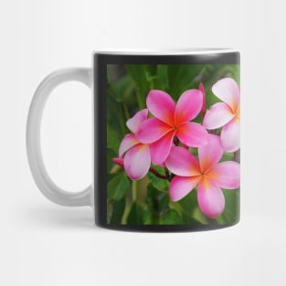 Kailua Kona Pink Plumeria Mug